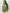 Blusa oversize asimmetrica elegante donna