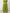 Completo Aurora donna crop e pantalone ampio estivo