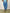Pantalone jogger donna casual colorato