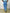 Pantalone jogger donna casual colorato
