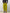 Pantalone donna cropped vita alta colorato