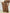 Completo curvy palazzo donna elegante
