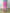 Pantalone jogger donna casual colorato