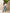 Jeans bambino gamba ampia chiaro e scuro art.st5290