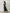 Completo Donna Urban Chic con Crop Top e Pantalone Balloon
